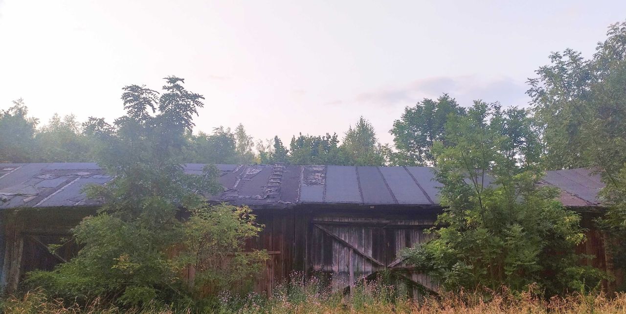 gospodarstwo Żuków. Zdjęcie 6