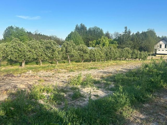 Działka budowlana Motycz. Zdjęcie 1