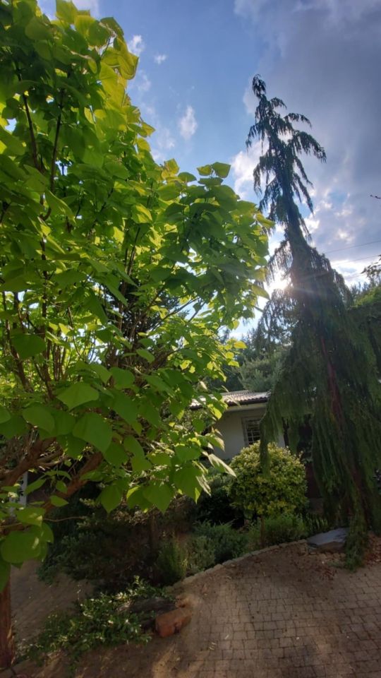 dom wolnostojący, 6 pokoi Białobrzegi, ul. Długa. Zdjęcie 9