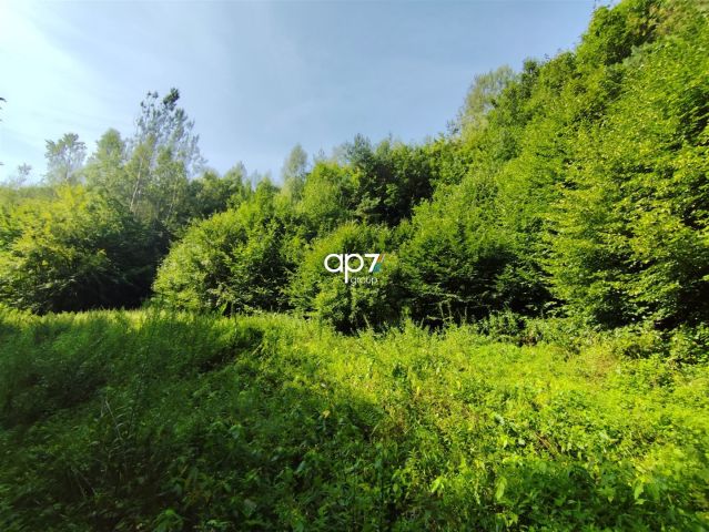 Działka rolna Będkowice. Zdjęcie 1