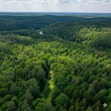 Działka inwestycyjna Spała, ul. marsz. Józefa Piłsudskiego