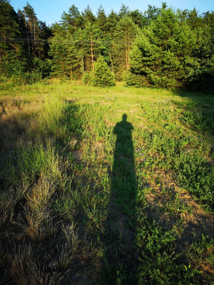 Działka rekreacyjna Wylazłów. Zdjęcie 3