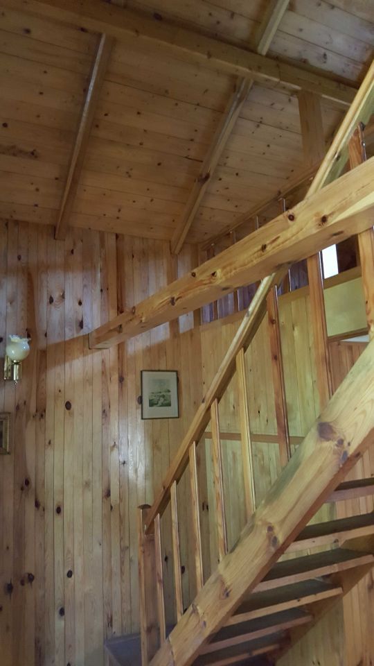 Działka rod Racibórz. Zdjęcie 2