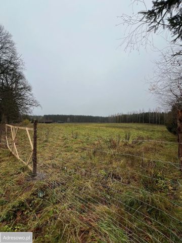 Działka budowlana Zyzdrojowy Piecek Zyzdrojowa Wola. Zdjęcie 1