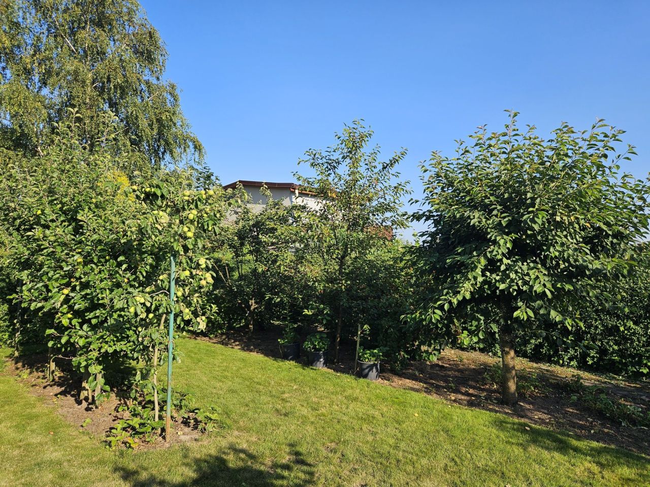 Działka rod Słupsk, ul. Gdańska. Zdjęcie 3