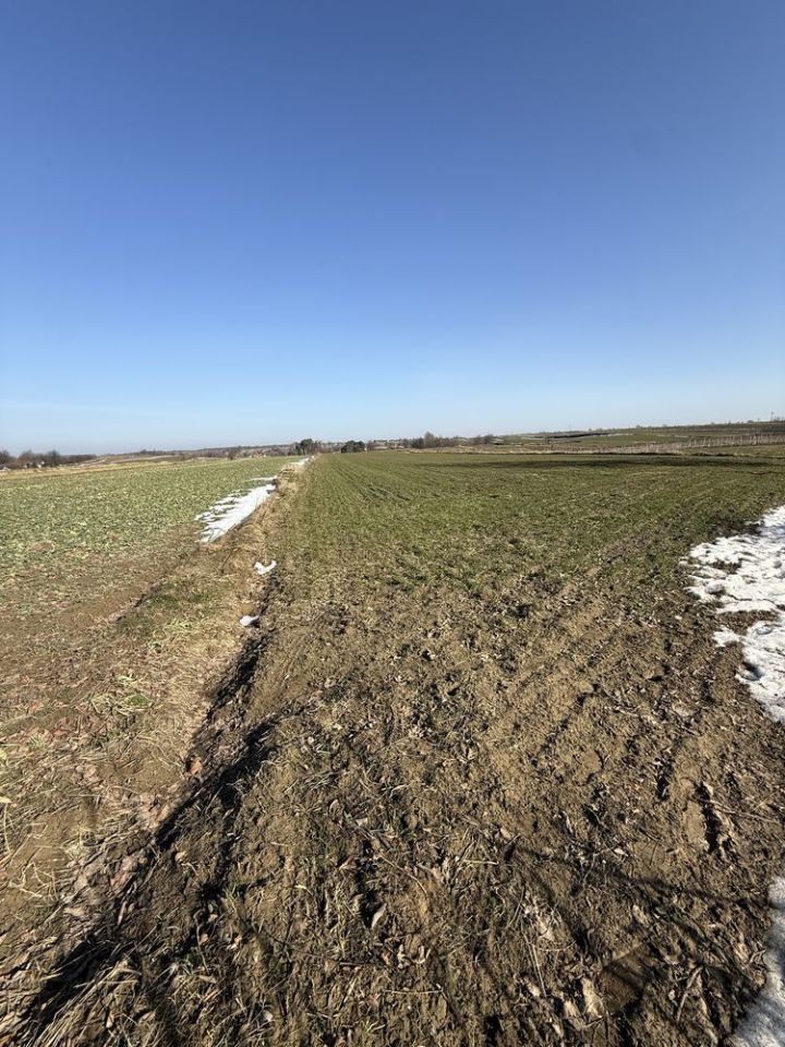 Działka rolna Błażek. Zdjęcie 2
