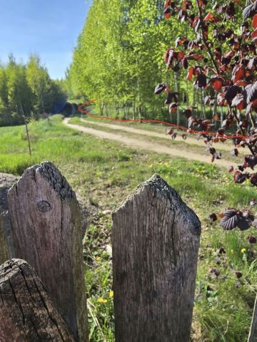 Działka leśna Szafarnia. Zdjęcie 1