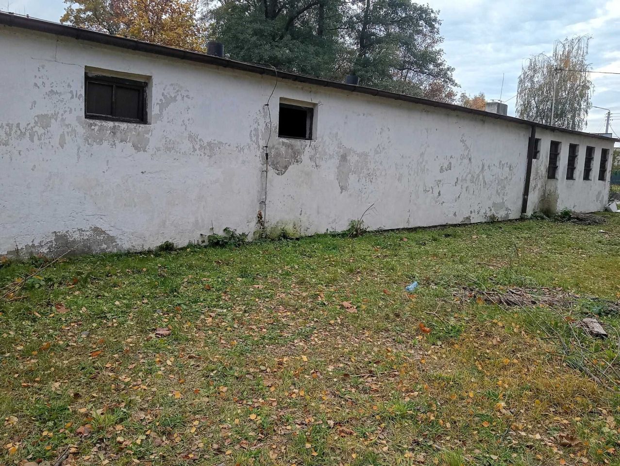 Hala/magazyn Kiszkowo. Zdjęcie 5
