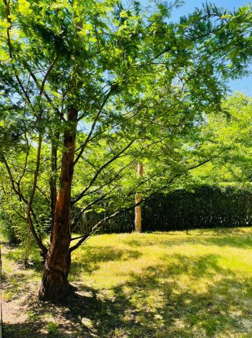 Działka rekreacyjna Kraków Golikówka. Zdjęcie 1