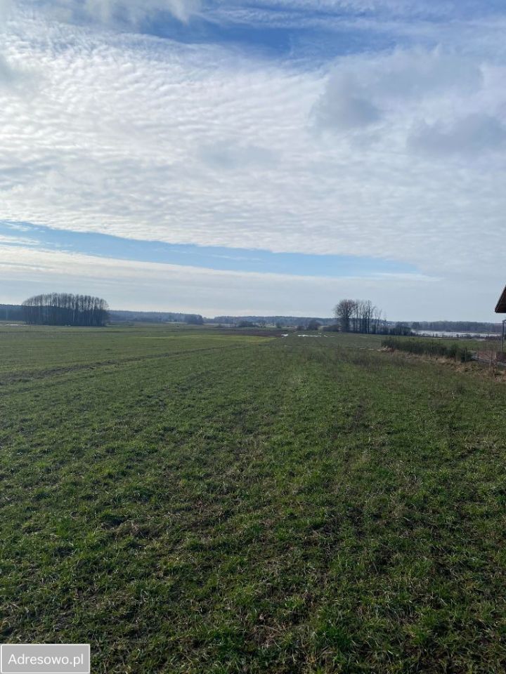 Działka budowlana Oliszki. Zdjęcie 4