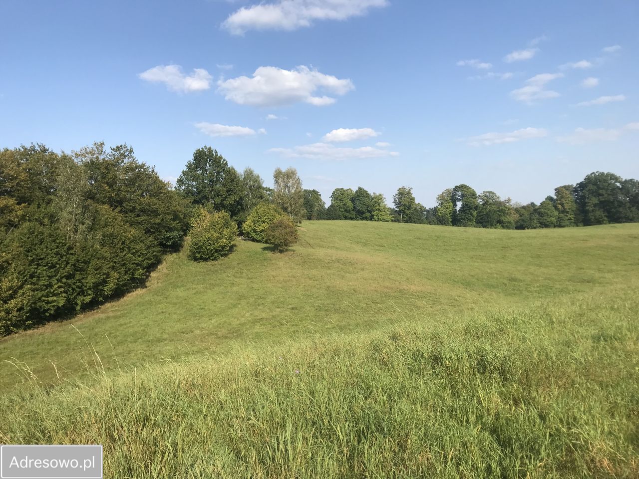 dom wolnostojący Miejska Wola. Zdjęcie 7