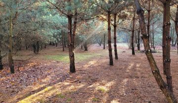 Działka budowlana Pelagia, ul. Zagłoby