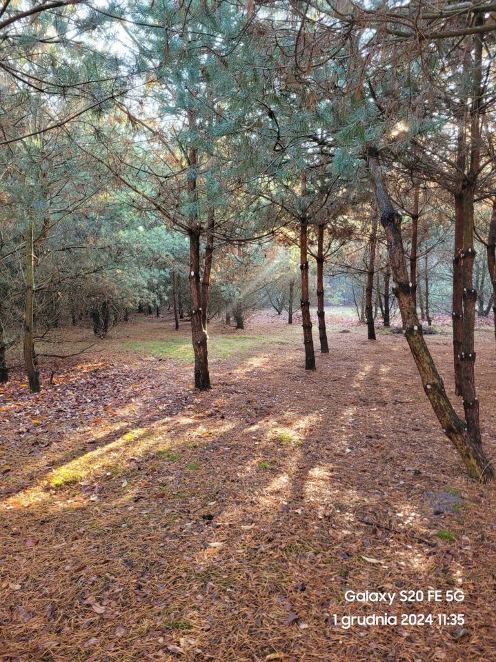 Działka budowlana Pelagia, ul. Zagłoby. Zdjęcie 2