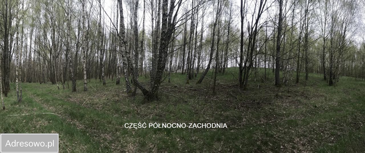 Działka inna Siemczyno. Zdjęcie 4