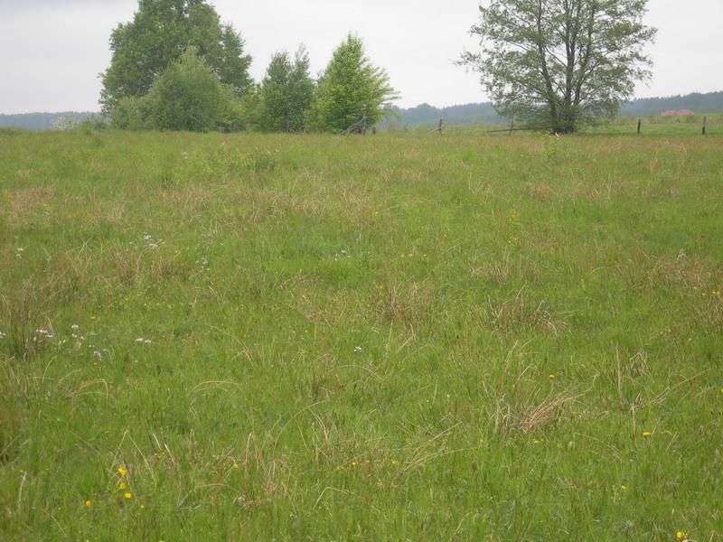 Działka rolno-budowlana Ruszajny, ul. Mikołaja Reja. Zdjęcie 3