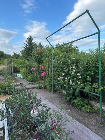 Działka rod Wrocław Brochów. Zdjęcie 1