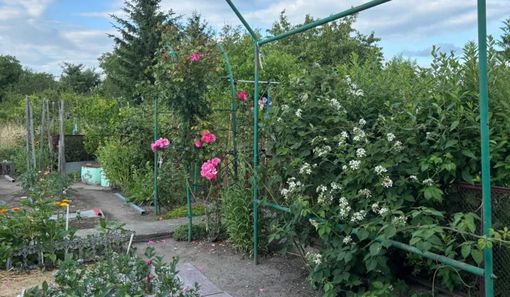 Działka rod Wrocław Brochów