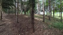 Działka rolno-budowlana Dębinka. Zdjęcie 2