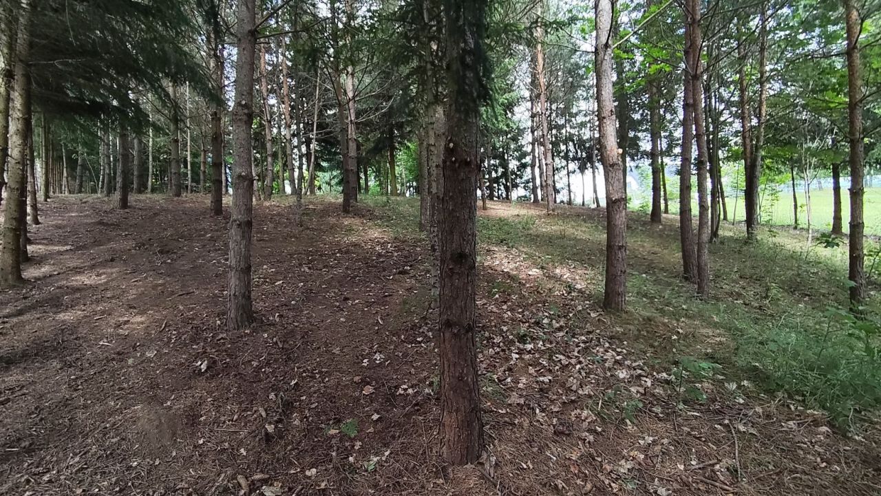 Działka rolno-budowlana Dębinka. Zdjęcie 3