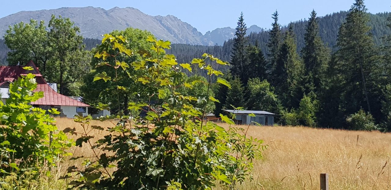 Działka rolna Zakopane Toporowa Cyrla, ul. Cyrhla