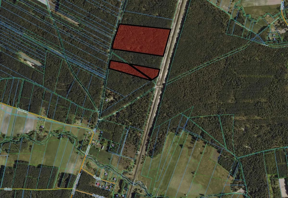 Działka leśna Stare Bosewo. Zdjęcie 6