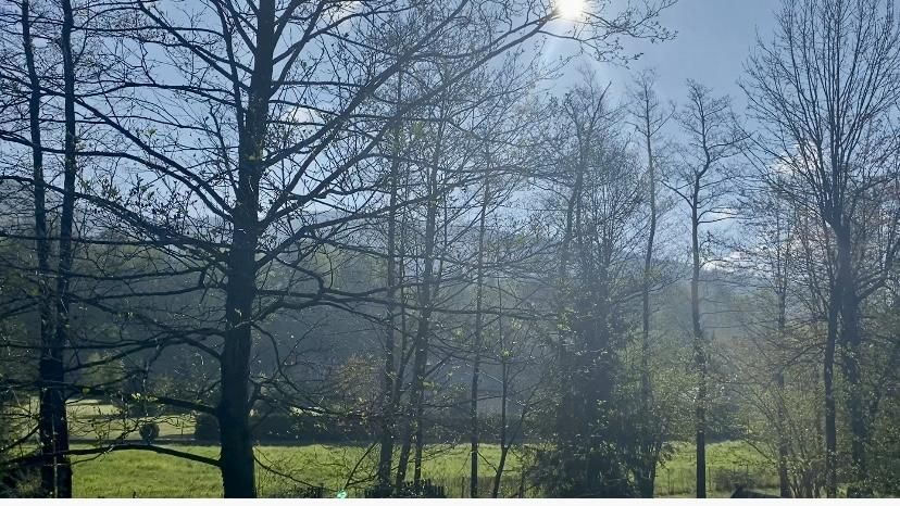 Działka budowlana Brenna Spalona, ul. Wierzbowa. Zdjęcie 4