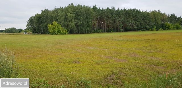 Działka inwestycyjna Ujazdówek. Zdjęcie 1