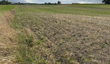 Działka rolna Nowe Depułtycze