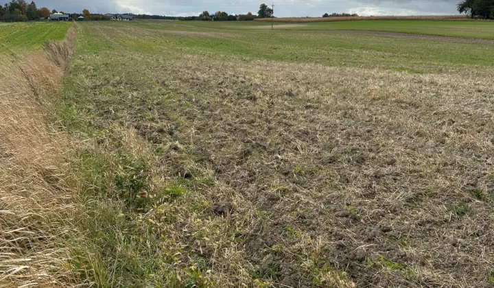 Działka rolna Nowe Depułtycze