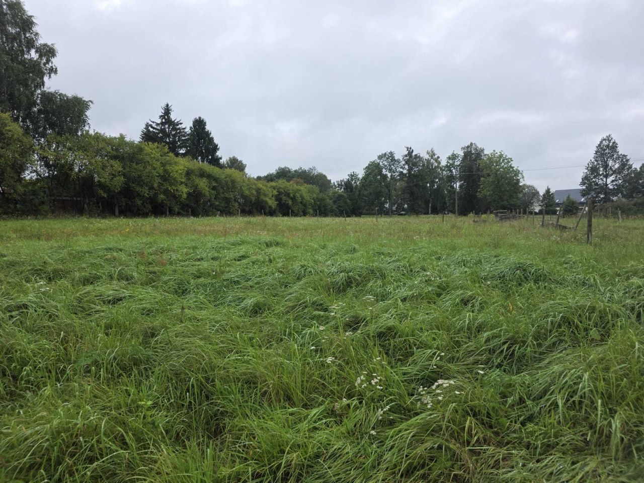 Działka budowlana Stary Dwór. Zdjęcie 7