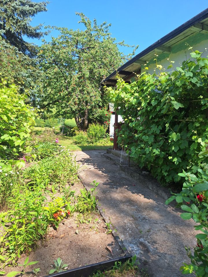 Działka rod Świdnica Łochowo, ul. Wypoczynek. Zdjęcie 2