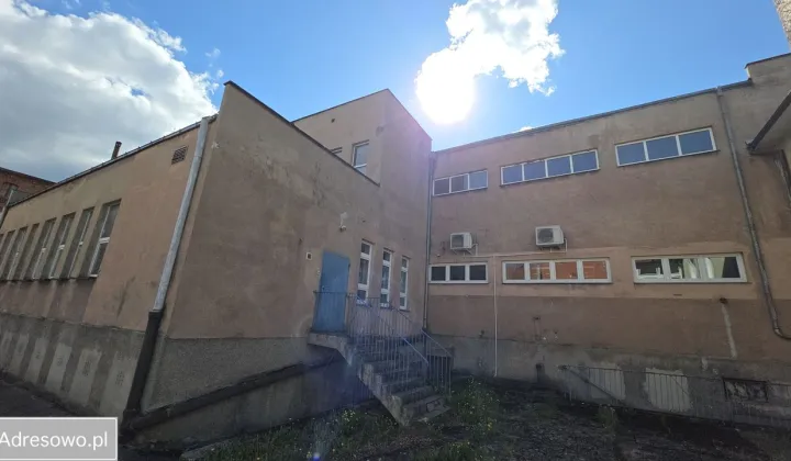 Lokal Drezdenko, ul. Kościuszki