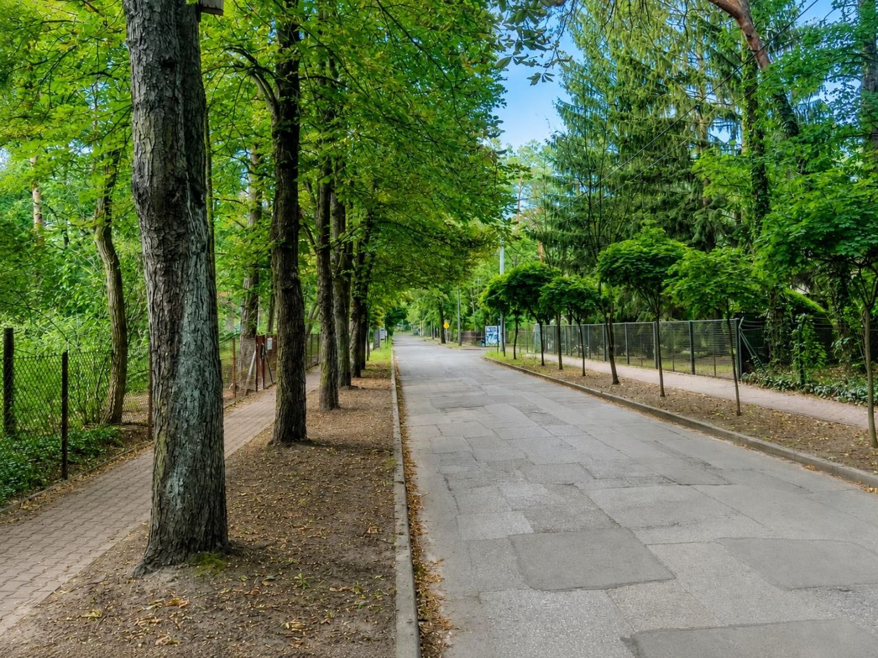 Działka budowlana Milanówek, ul. Piasta. Zdjęcie 2