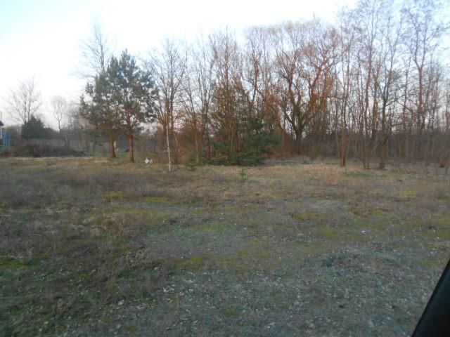 Działka budowlana Chrzęsne. Zdjęcie 2