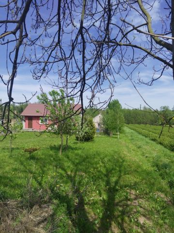 dom wolnostojący, 5 pokoi Boksyce Sławęcice. Zdjęcie 9