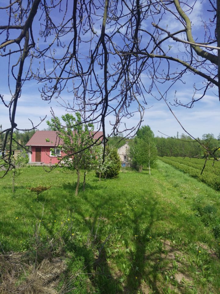 dom wolnostojący, 5 pokoi Boksyce Sławęcice. Zdjęcie 9