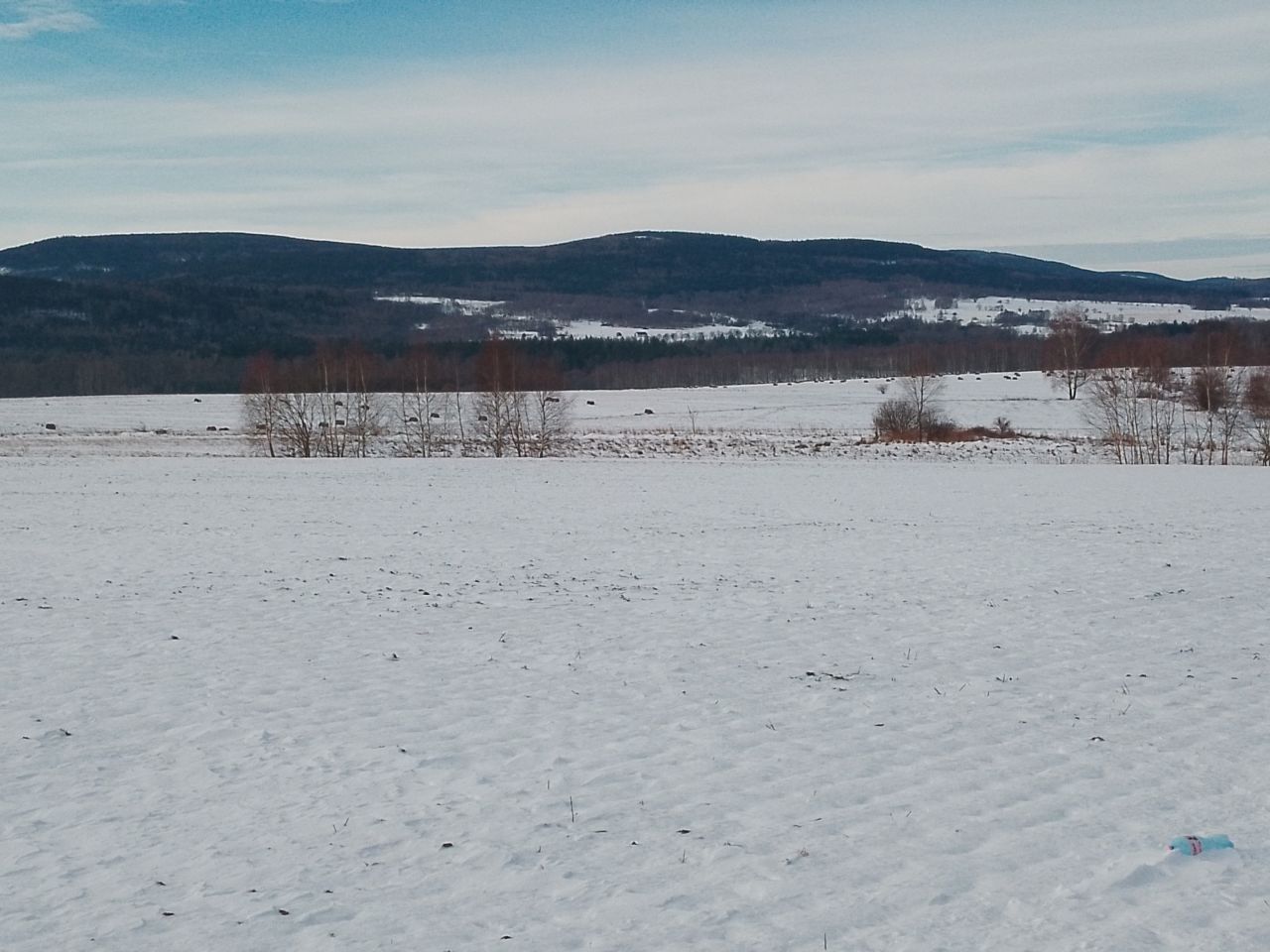 Działka rolna Mała Kamienica Sosnka, mała kamienica. Zdjęcie 2