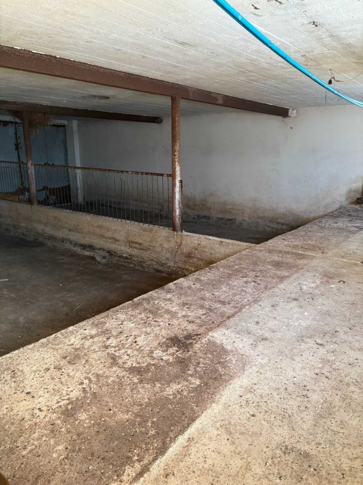 Nieruchomość komercyjna Pustki. Zdjęcie 8