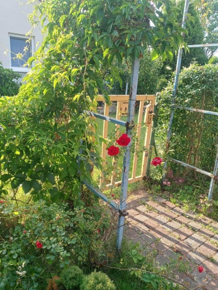 Działka rod Wrzosowa, ul. Fabryczna. Zdjęcie 3