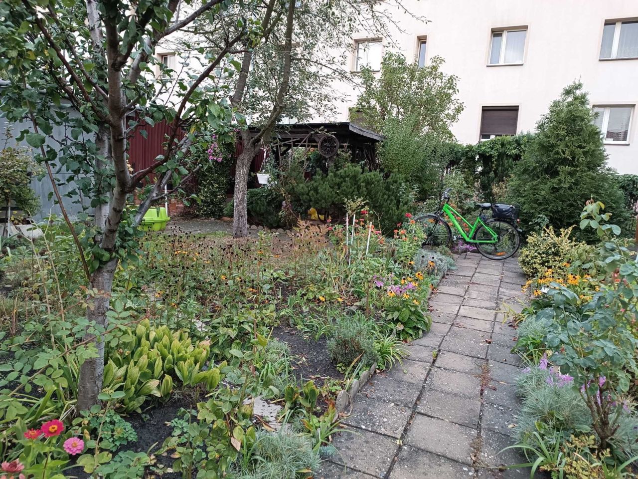 Działka rod Gliwice Sośnica. Zdjęcie 7