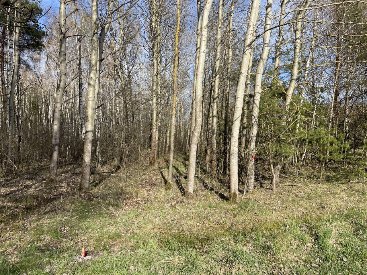 Działka rolna Zalesna. Zdjęcie 11