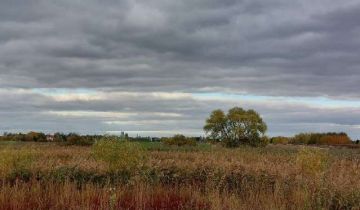 Działka rolno-budowlana Falenty Nowe, ul. Szafranowa