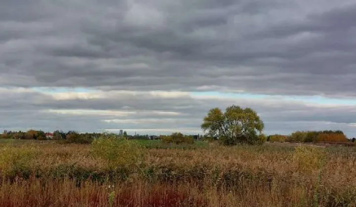Działka rolno-budowlana Falenty Nowe, ul. Szafranowa