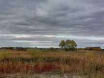 Działka rolno-budowlana Falenty Nowe, ul. Szafranowa