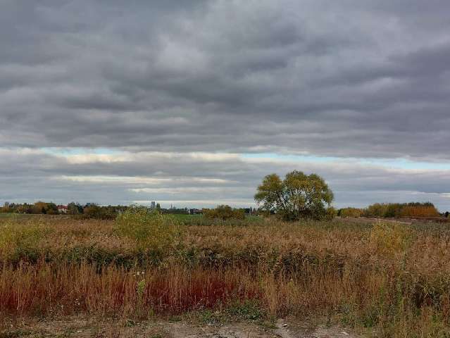 Działka rolno-budowlana Falenty Nowe, ul. Szafranowa