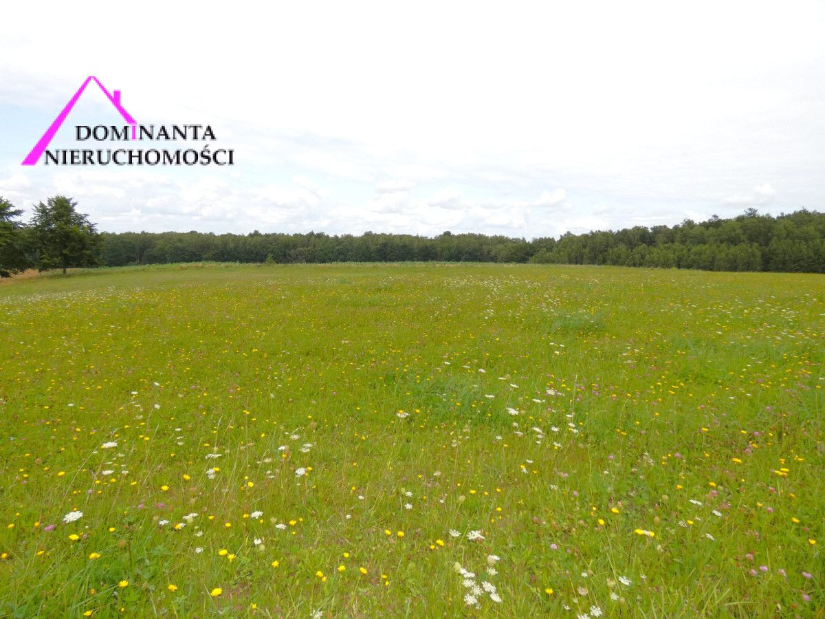 Działka rolna Gronowo. Zdjęcie 14