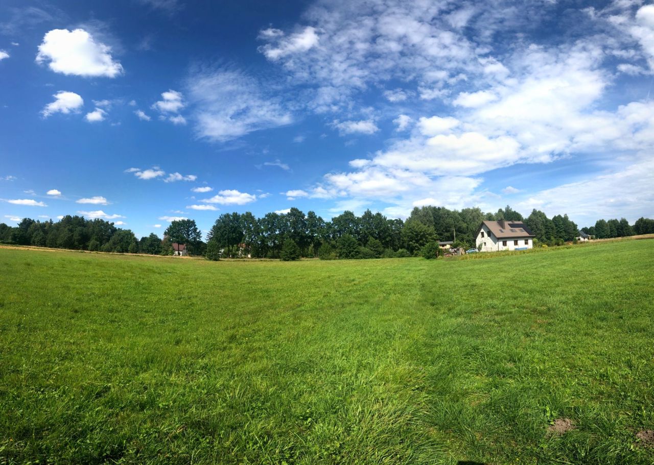 Działka budowlana Zalesie. Zdjęcie 3