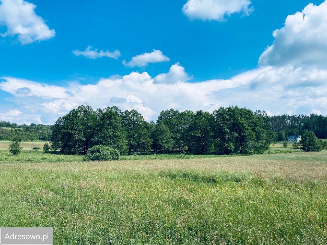 Działka rekreacyjna Sulęczyno, ul. Brzozowa. Zdjęcie 4