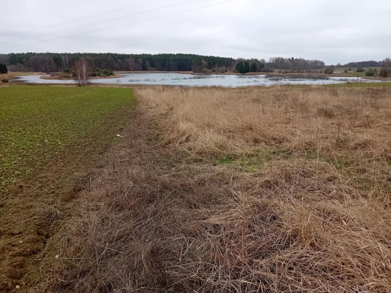 Działka budowlana Binowo. Zdjęcie 7