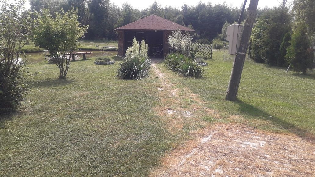 gospodarstwo Dębiec. Zdjęcie 2